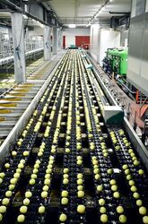 Tai Seng Point (D13), Factory #465240051